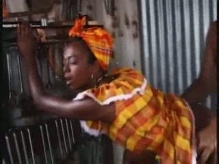 Africain chocolat chatte vidéo