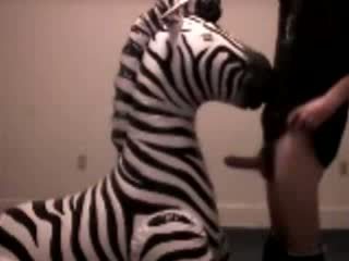 Zebra gets throat fucked by pervert guy video