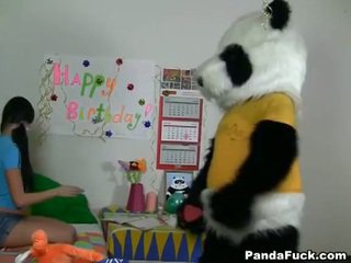 Panda gets i ri adoleshent vogëlushe
