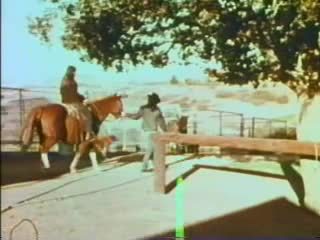 Любов ферма - 1971